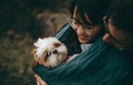 How to Combat Common Pet Dental Issues: Expert Advice from Leading Vet Dentists