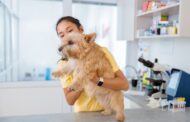 How Do Emergency Vet Services Differ from Routine Care?